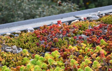the cost of Lower Dean green roof installation