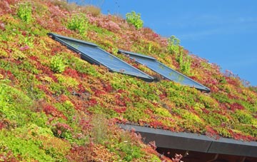 Lower Dean living roof systems