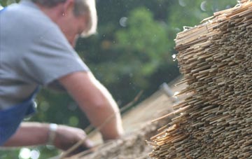 professional Lower Dean thatchers